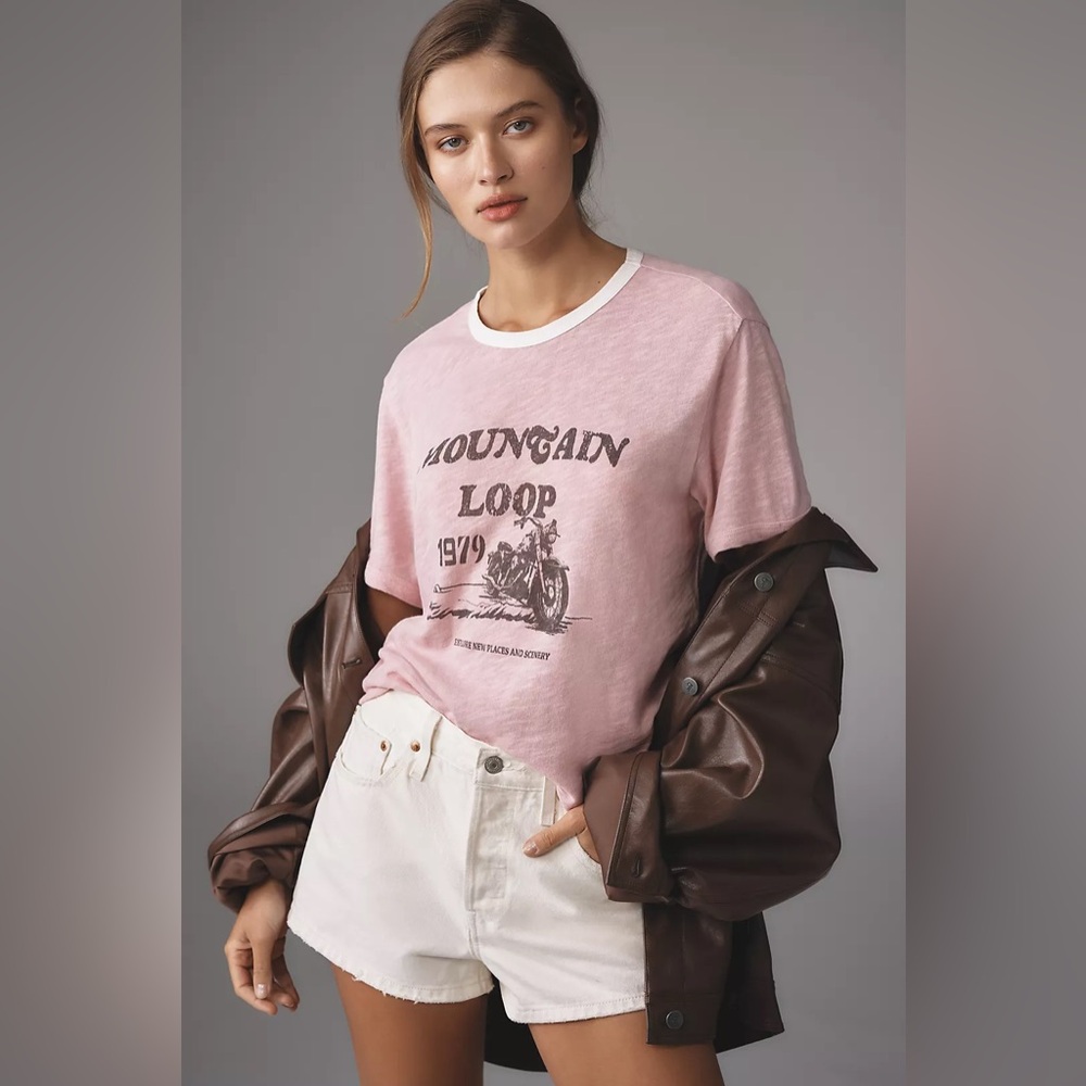 Anthropologie Pilcro Mountain Loop Ringer Tee